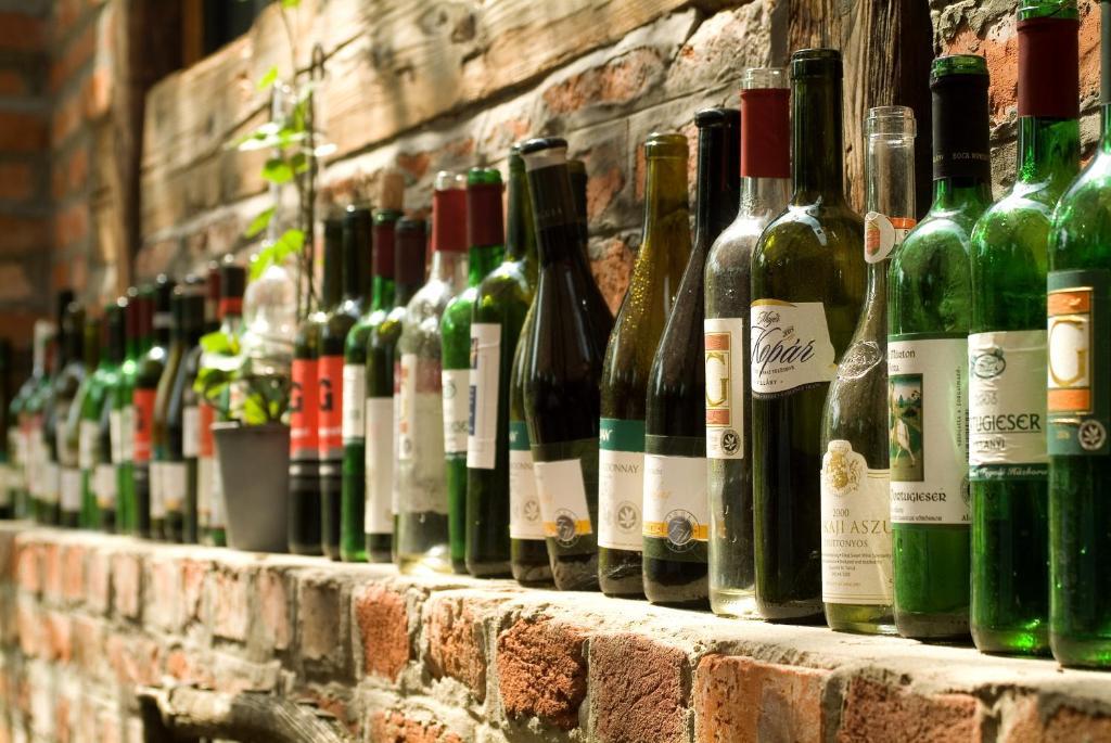 Hotel Vineyard Inn - Szoloskert Нагиканиша Екстериор снимка